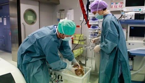 Innsbruck gehört zu den führenden Transplantationszentren Europas. Im Vorjahr wurden hier 202 ...