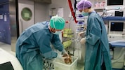 Innsbruck gehört zu den führenden Transplantationszentren Europas. Im Vorjahr wurden hier 202 ...