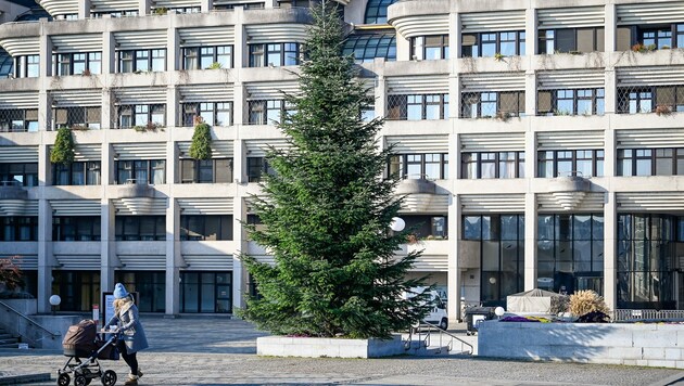 Christbaum vor dem Neuen Rathaus in Linz, wo es noch keine MA 2412, nämlich das „Amt für Weihnachtsdekoration“, gibt... (Bild: Alexander Schwarzl)