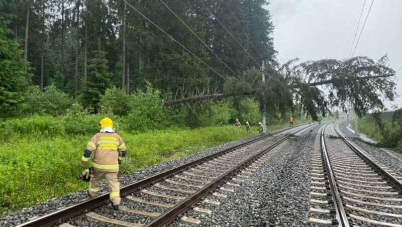 Bäume stürzten auf die Bahnstrecke bei Saalfelden (Bild: FF Saalfelden)