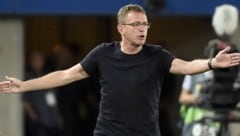 Ralf Rangnick (Bild: APA/HANS PUNZ)