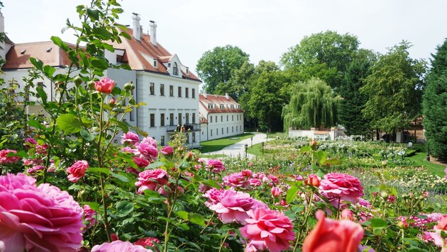 Auf Schloss Thalheim wartet beim Open-Air-Festival ab 11. Juni ein wahres Star-Aufgebot auf die Besucher. (Bild: Schloss Thalheim)