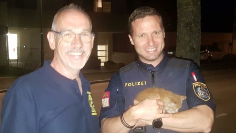 Einsatzkräfte mit der geretteten Katze (Bild: v florian schmidtbauer)