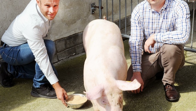 Direktor Nemecek (rechts) mit Landwirt Schoder im Mostviertel. (Bild: Crepaz Franz)