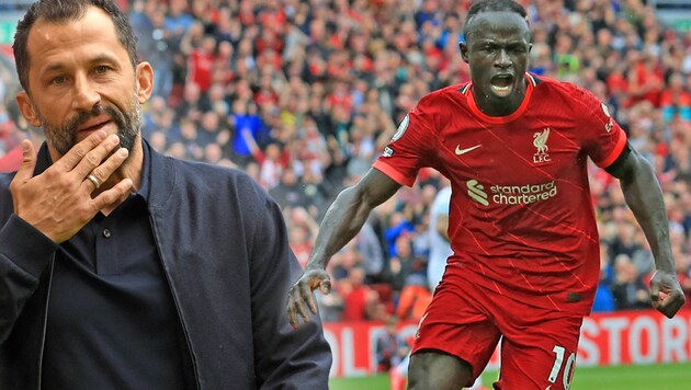 Liverpools Sadio Mane (re.) und Hasan Salihamidzic (li.) (Bild: AFP, krone.at-grafik)
