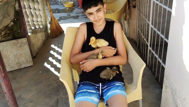 In Aserbaidschan sind Haustiere Huseyns beste Freunde. Die Schule darf er in seiner neuen und alten Heimat noch nicht besuchen. (Bild: zVg)