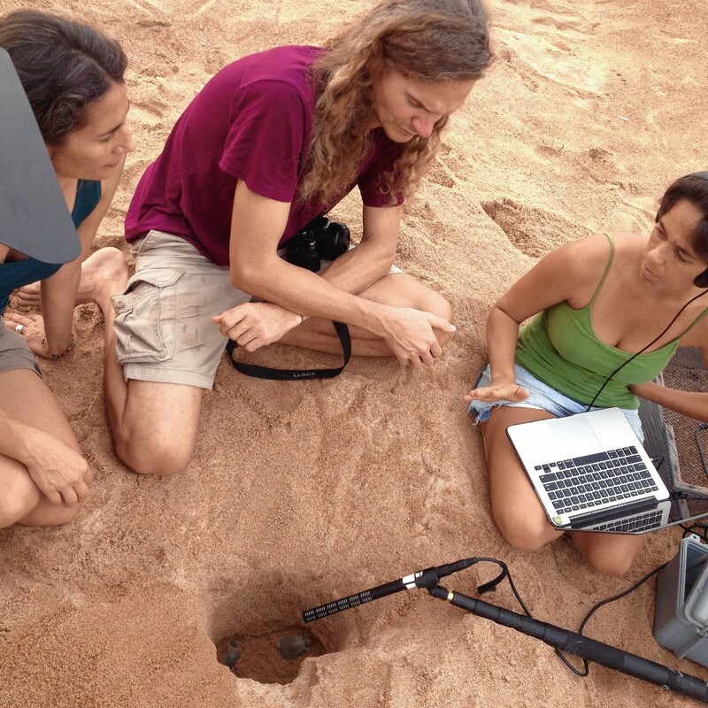 Praschag mit Kolleginnen am Rio Trombetas in Brasilien. Das ungewöhnliche Leben der steirischen Schildkrötenforscher stand sogar schon einmal im Zentrum einer „Universum“-Folge. (Bild: dreid.at)