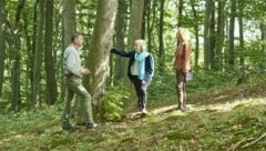 Bereits zu Lebzeiten kann ein Baum im Klosterwald für die Bestattung ausgesucht werden. (Bild: Diözese St. Pölten)