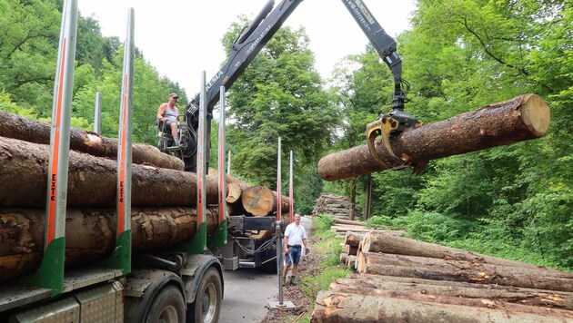 Holz ist ein äußerst klima-schonender Rohstoff. Josef Moosbrugger hofft, dass auch im Bausektor mehr und mehr Holz verarbeitet wird. Da müssen aber auch die Waldbesitzer mitmachen. (Bild: Privat)