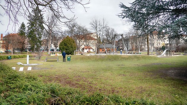 Der Augartenpark in Graz (Symbolbild) (Bild: Sepp Pail)