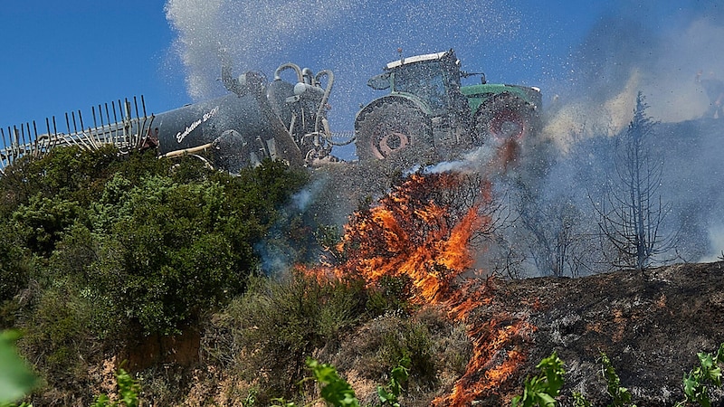 Waldbrand in Spanien (Bild: AP)