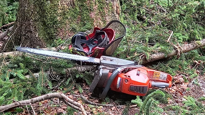 In Vorarlberg wird weniger Holz geschlägert als möglich wäre. (Bild: Manuel Schwaiger)