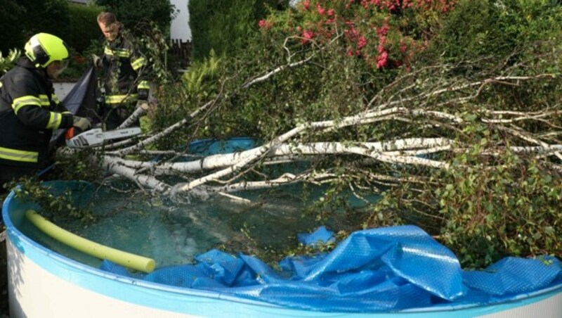 Umgestürzter Baum in einem Garten in Grieskirchen (Bild: laumat.at/Matthias Lauber)