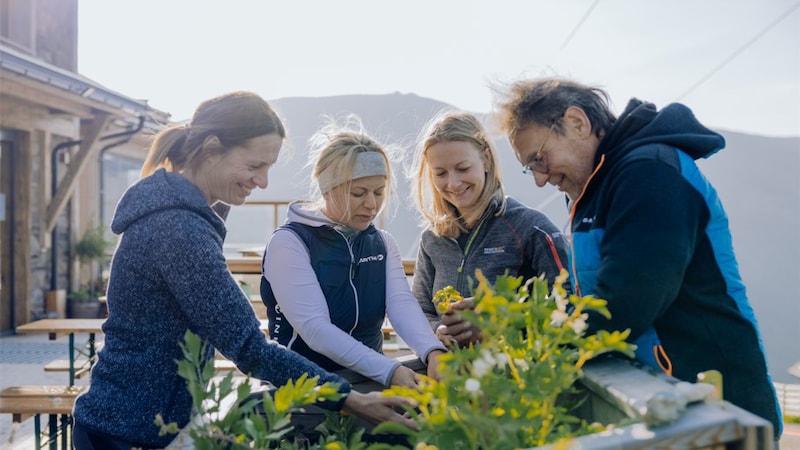 Die Kräuter für die Klimanudel kommen direkt aus den Klima-Hochbeeten (Bild: Klimaberg Katschberg / Creating Click)