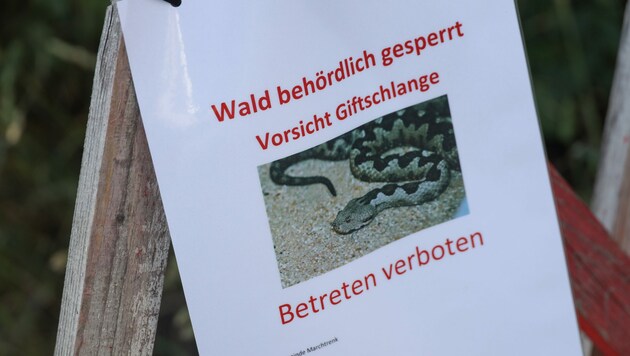 So warnte die Stadtgemeinde Marchtrenk (Bild: laumat.at/Matthias Lauber)