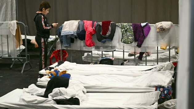Ein Ankunftszentrum für geflüchtete Menschen aus der Ukraine in der „Arena Nova“ in Wiener Neustadt (Bild: APA/MARTIN HÖRMANDINGER)