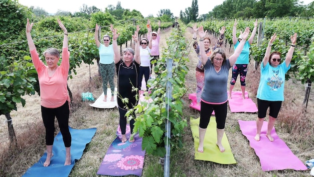 Finnische Damen beim Yoga zwischen Zweigelt und Muskat, beim Anradeln winkten ihnen Willi Opitz und Ehefrau Maria zu (Bild: Judt Reinhard)