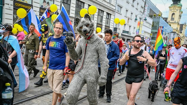 Nach der Pride-Parade in Linz kam es zu einer Attacke auf Teilnehmer. (Bild: Alexander Schwarzl)