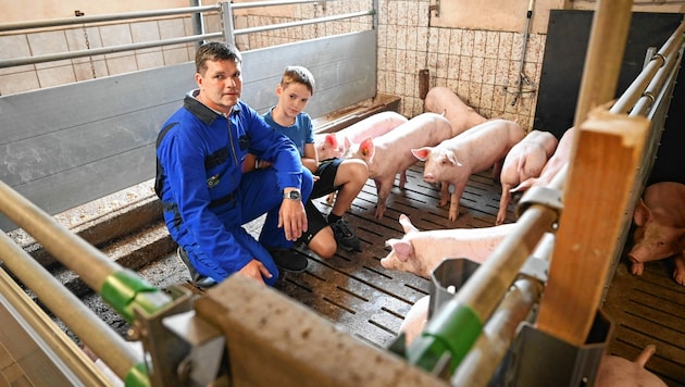 Im Schweinestall: Manfred Hörtenhuemer mit seinem Sohn und künftigen Nachfolger (Bild: Markus Wenzel)
