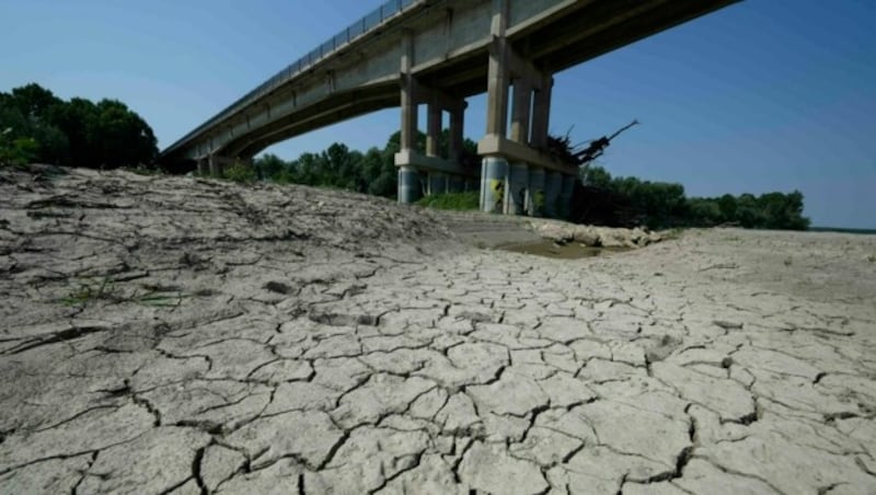 (Bild: AP Photo/Luca Bruno)