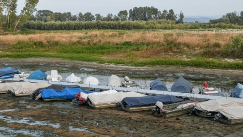 Dürre in Linarolo (Bild: Piero CRUCIATTI / AFP)