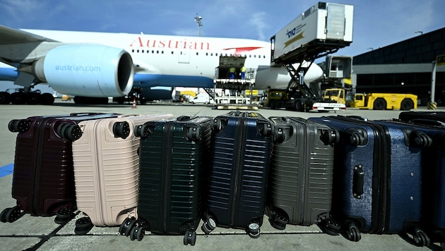 Vermisste Koffer stapeln sich am Flughafen Wien-Schwechat. (Bild: APA/ROBERT JAEGER)