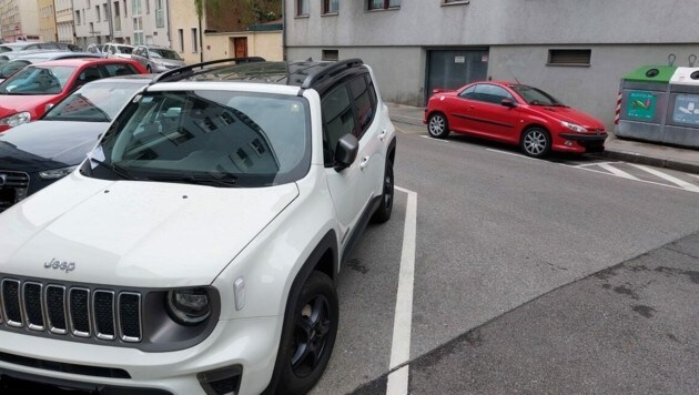 Zwei vermeintliche Parkplätze sorgen in Döbling für Wirbel. (Bild: privat)