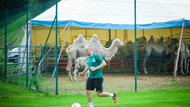 Ried-Legionär Julian Wießmeier trainierte vor Kamelen. (Bild: Scharinger Daniel)