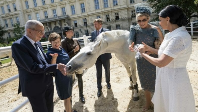 Willem-Alexander und Maxima machten einen kurzen Abstecher in die Hofreitschule, wo sie mit einem der edlen Lipizzaner auf Tuchfühlung gingen. (Bild: Peter Lechner)