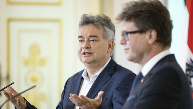 Vizekanzler Werner Kogler und Bildungsminister Martin Polaschek (Bild: APA/TOBIAS STEINMAURER)