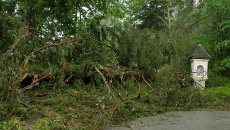 Unwetterschäden im Bezirk Murau (Bild: BFV Murau)