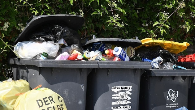 According to the survey, 85 percent make sure they dispose of their waste correctly (symbolic image). (Bild: P. Huber)