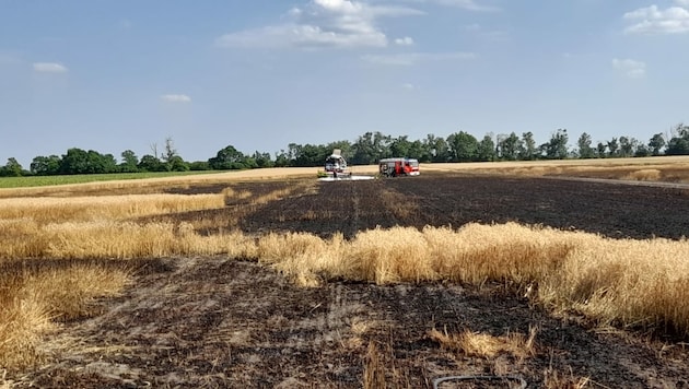 Der Wind fachte das Feuer noch an. (Bild: privat)