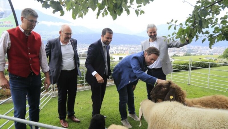 Stefan Brugger bekommt Schützenhilfe von Andreas Leitgeb (NEOS), Georg Dornauer (SPÖ), Markus Abwerzger (FPÖ) und Liste Fritz-Markus Sint (v. li.). (Bild: Birbaumer Christof)