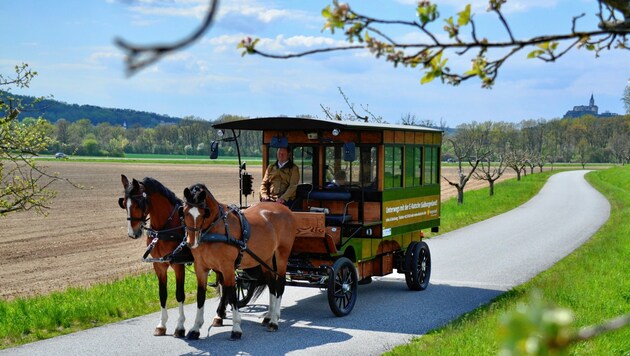 Ein Elektromotor unterstützt die Pferde bei ihrer Arbeit. (Bild: Tourismusverband Südburgenland)