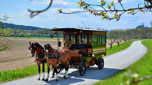 Ein Elektromotor unterstützt die Pferde bei ihrer Arbeit. (Bild: Tourismusverband Südburgenland)