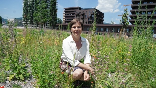 In ihrem Element: die grüne Vizebürgermeistern Judith Schwentner. (Bild: Pail Sepp)