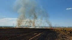 Der Acker im Bezirk Bruck an der Leitha wurde zum Raub der Flammen. (Bild: FF Himberg)