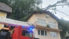 Die Esche stürzte in Kremsmünster auf dieses Haus (Bild: FF Kremsmünster)