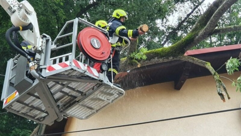 Feuerwehrleute mussten die Gefahr in Kremsmünster bannen (Bild: FF Kremsmünster)