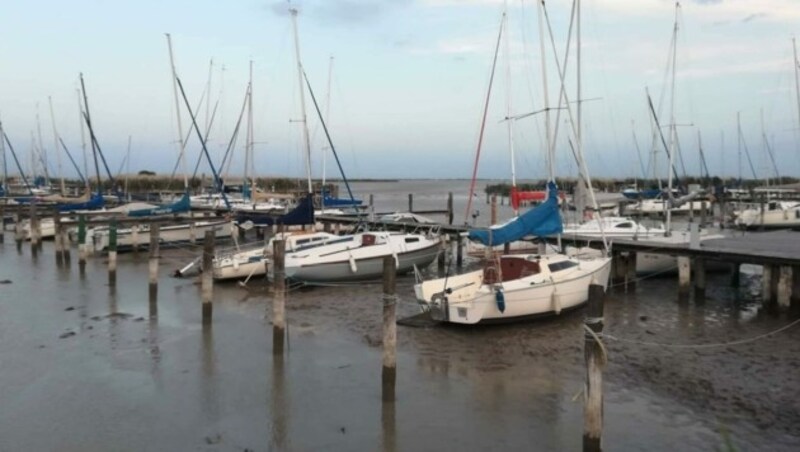 Aufnahme von der Breitenbrunner Bucht am Freitag: kein Wasser, alle Boote im Schlamm. (Bild: Thomas Pertl)