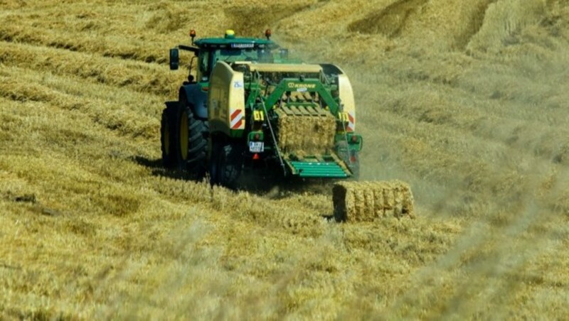 Auch in der Landwirtschaft geht’s nicht „ohne“: Zur Trocknung von Mais und Co. wird Gas benötigt. (Bild: Scharinger Daniel)