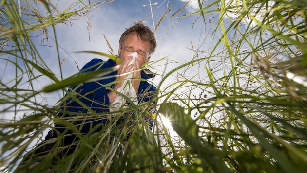 (Bild: Albertsen Foto/stock.adobe.com)