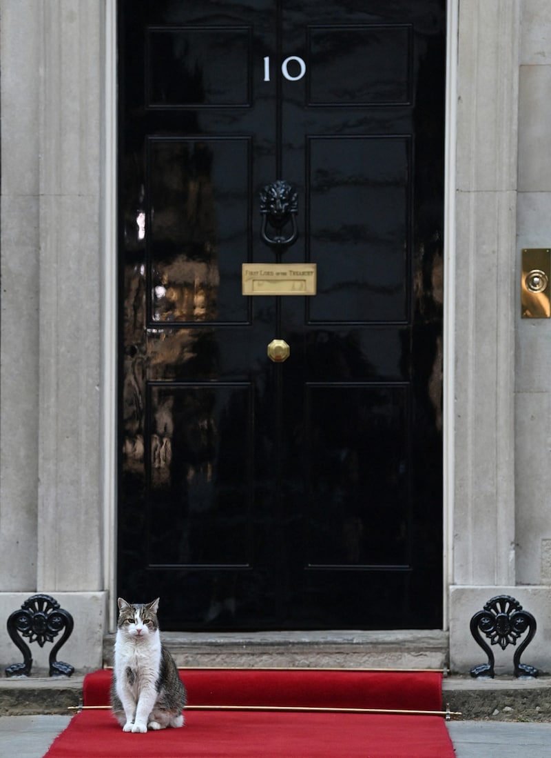 Larry vor seinem „Arbeitsplatz“ (Bild: JUSTIN TALLIS / AFP)