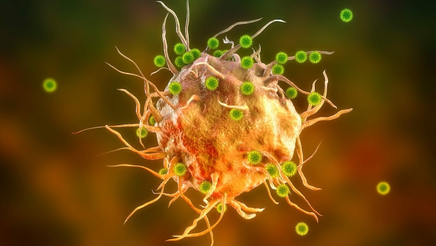 Coronaviren befallen eine Immunzelle (Illustration). (Bild: Kateryna_Kon - stock.adobe.com)