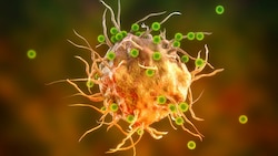 Coronaviren befallen eine Immunzelle (Illustration). (Bild: Kateryna_Kon - stock.adobe.com)