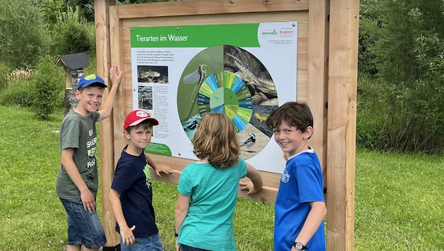 Kinder aus Bergheim entdecken den Naturlehrpfad entlang der Fischach. (Bild: Gemeinde Bergheim)