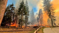 (Bild: National Park Service via AP)