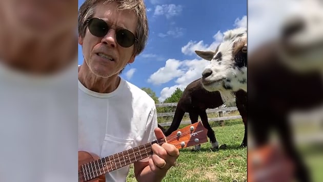 Kevin Bacon sang zu seinem 64. Geburtstag ein Ständchen - und seine Ziege kam, um zu gratulieren. (Bild: twitter.com/kevinbacon)