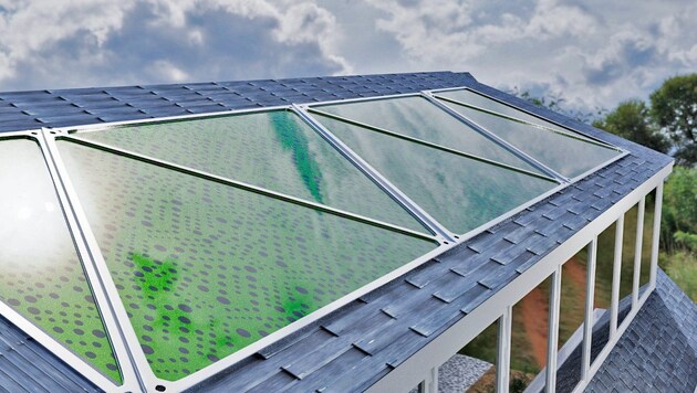 Das Start-up Greenfluidics entwickelt Algen-Biogeneratoren für Dach und Fassade. Diese sollen nicht nur Kohlendioxid absorbieren, sondern auch Strom und Biomasse erzeugen. (Bild: Greenfluidics)